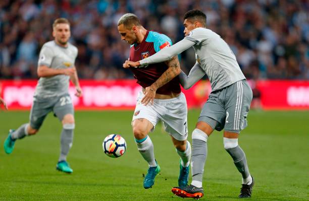 后消费者占 后消费者占