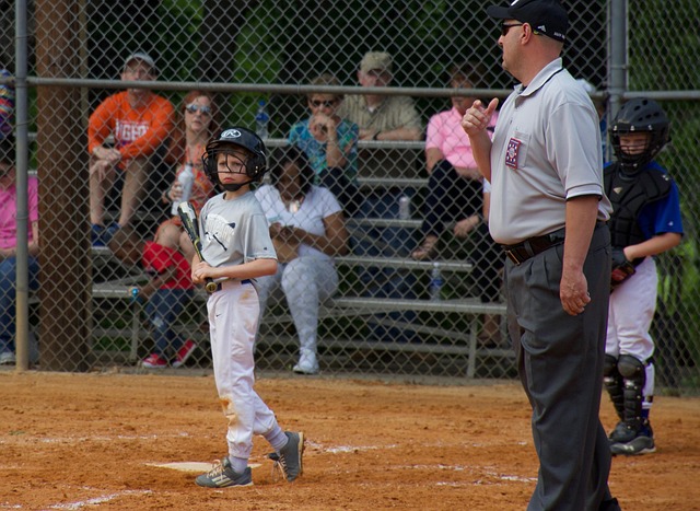 球队及球迷 球队及球迷