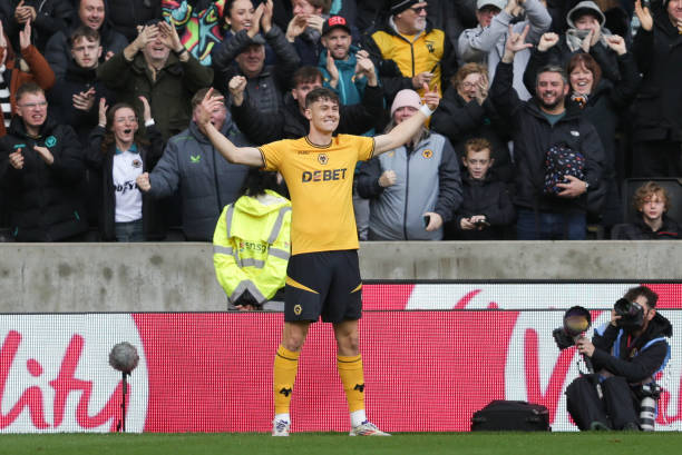 舒尼奇在未 舒尼奇在未